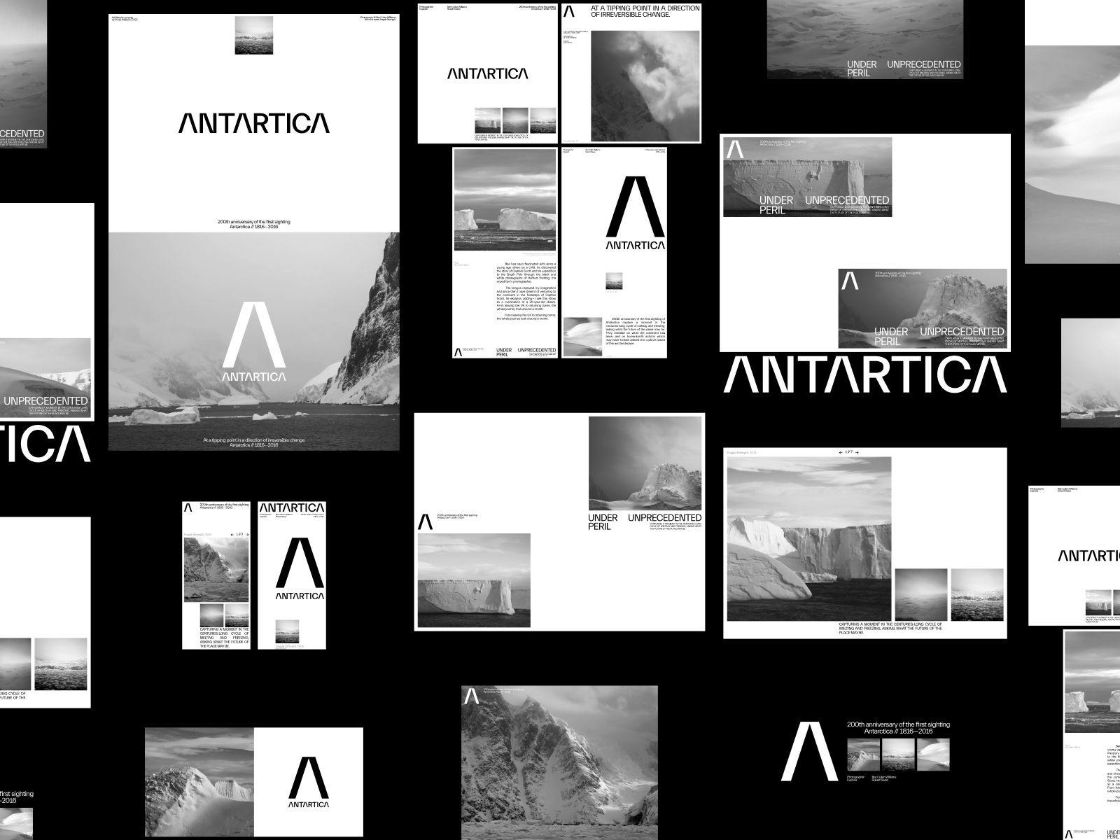 antartica_dribbble_4.jpeg