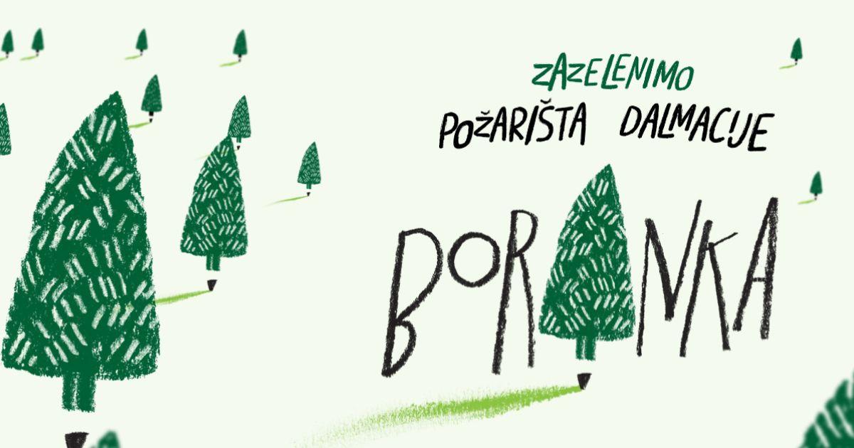 boranka.jpg
