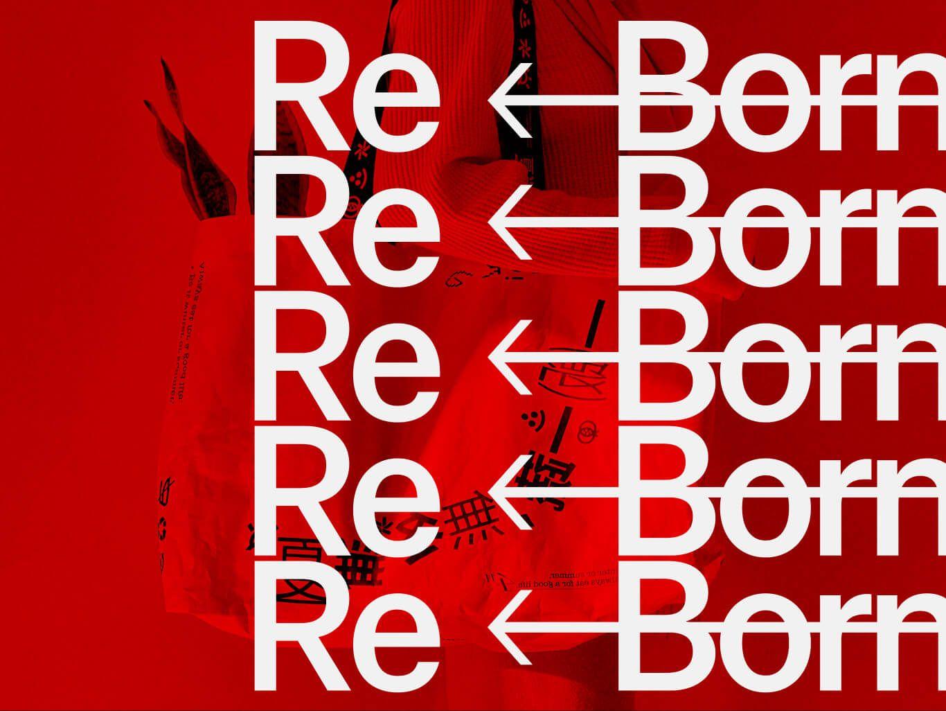 cover_reborn.jpeg